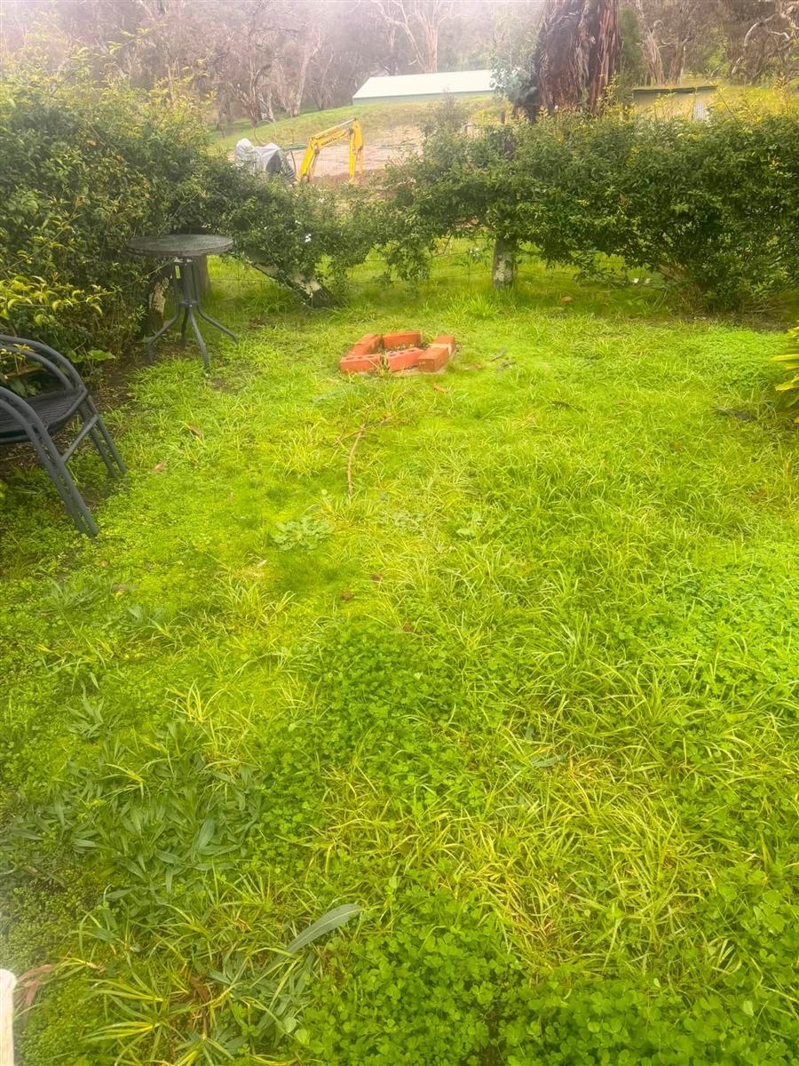 Backyard lawn mowed around a fire pit in Normanville