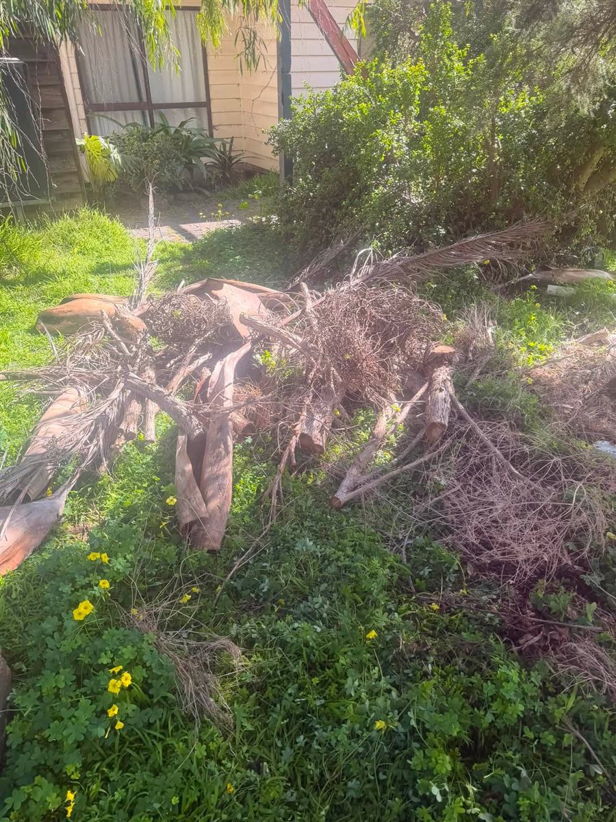 Pile of green waste and branches ready to be cleared from a yard near Yankalilla