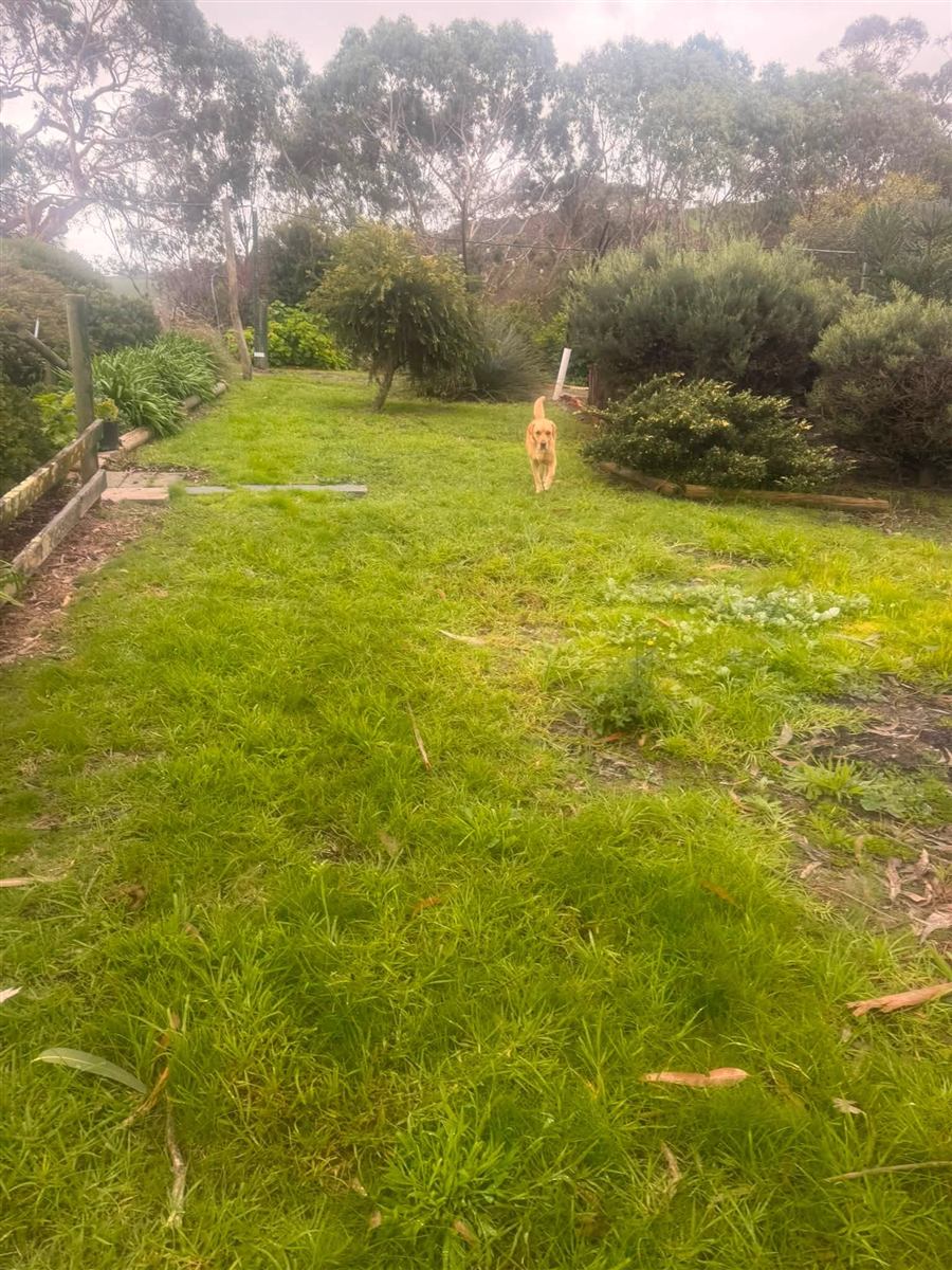 Large rural yard mowed on the Fleurieu Peninsula