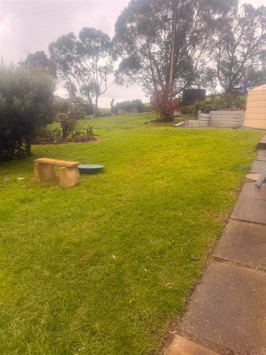 Lawn edge trimmed neatly along a concrete path in Normanville