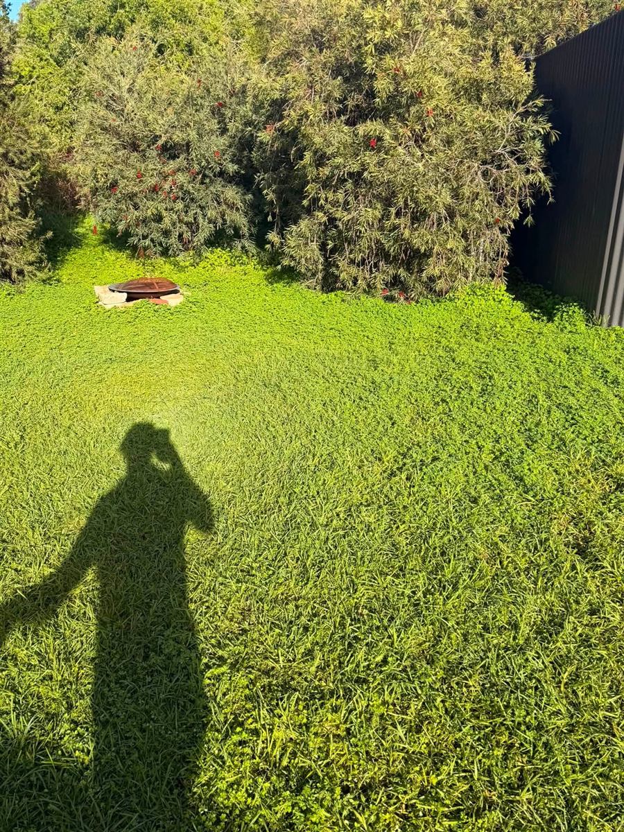 Freshly mowed lawn around a fire pit in the sun, Carrickalinga