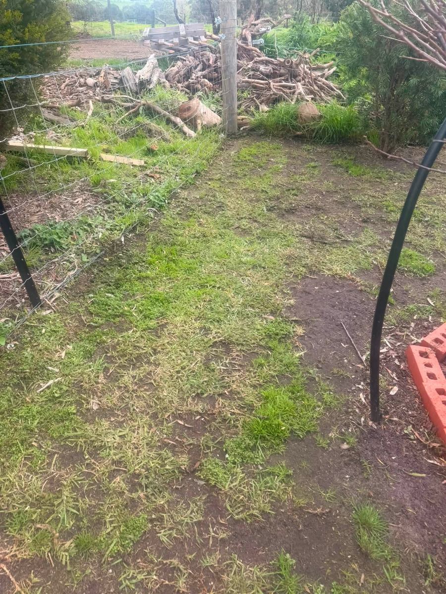 Yard cleared and mowed during a clean-up on the Fleurieu Peninsula